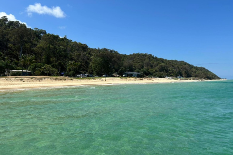 Postcard from Tangalooma Island Tracey Edgecombe