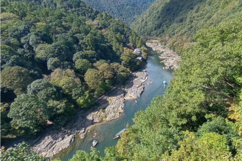 Arashiyama Max Aversa