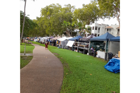 Palm Cove Debby McRobbie