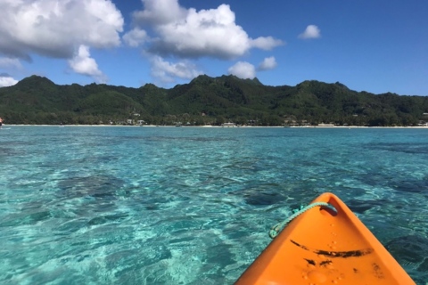 Rarotonga Hayden Edgecombe