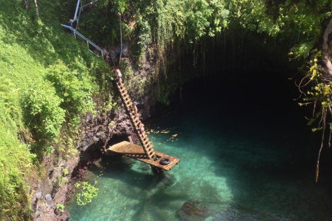 Sua Ocean Trench Olivia