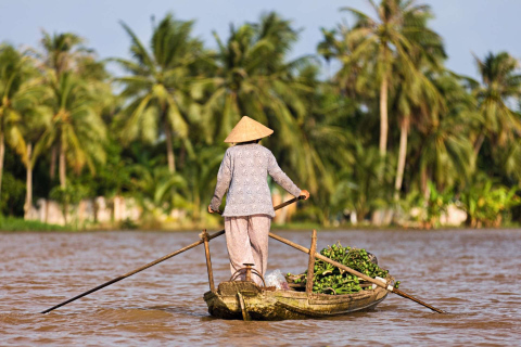 asia-vietnam-woman-rowing-boat-mekong-river-getty-143174296