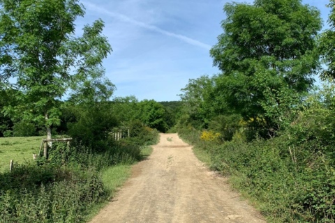Postcard From The Camino Trail